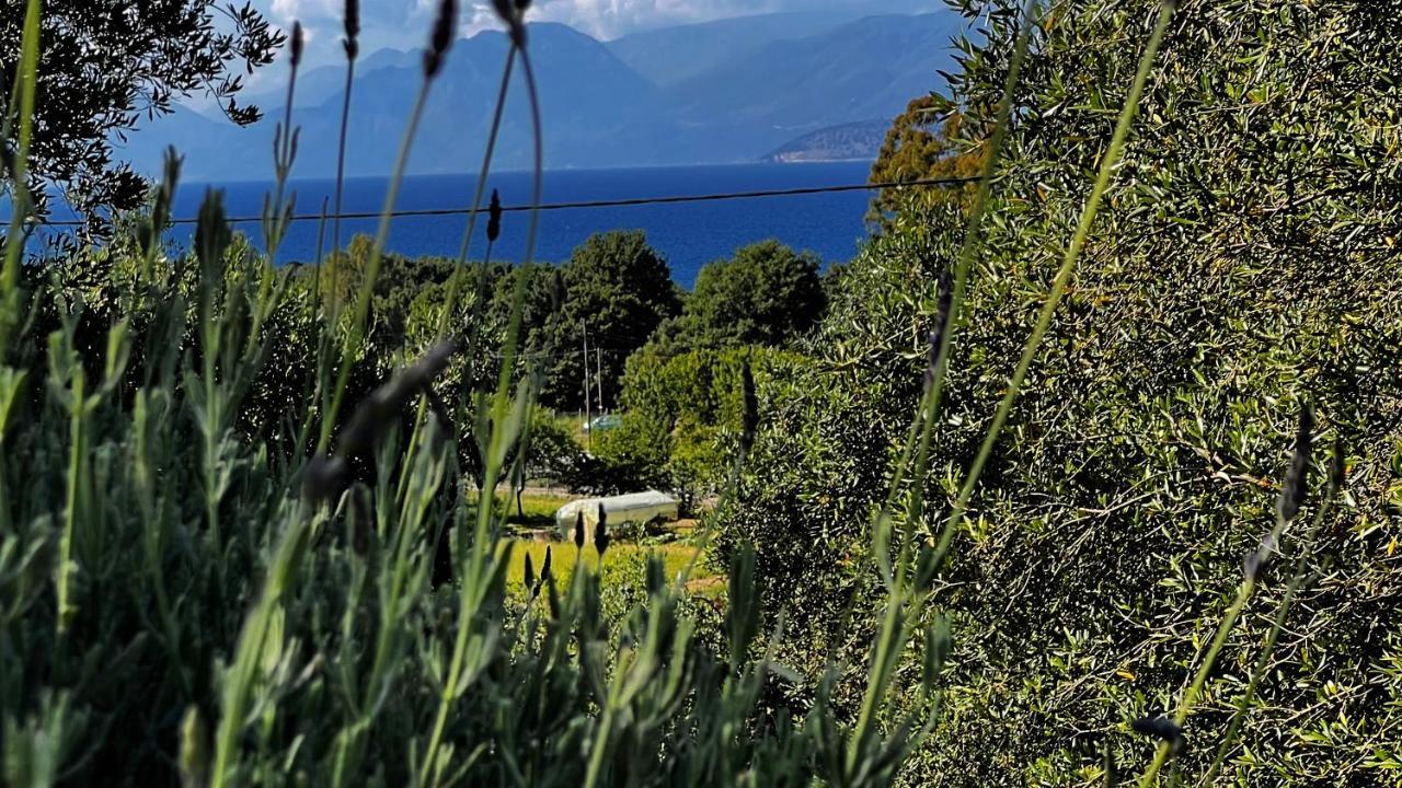 Villa Sania Kassiópi Eksteriør bilde
